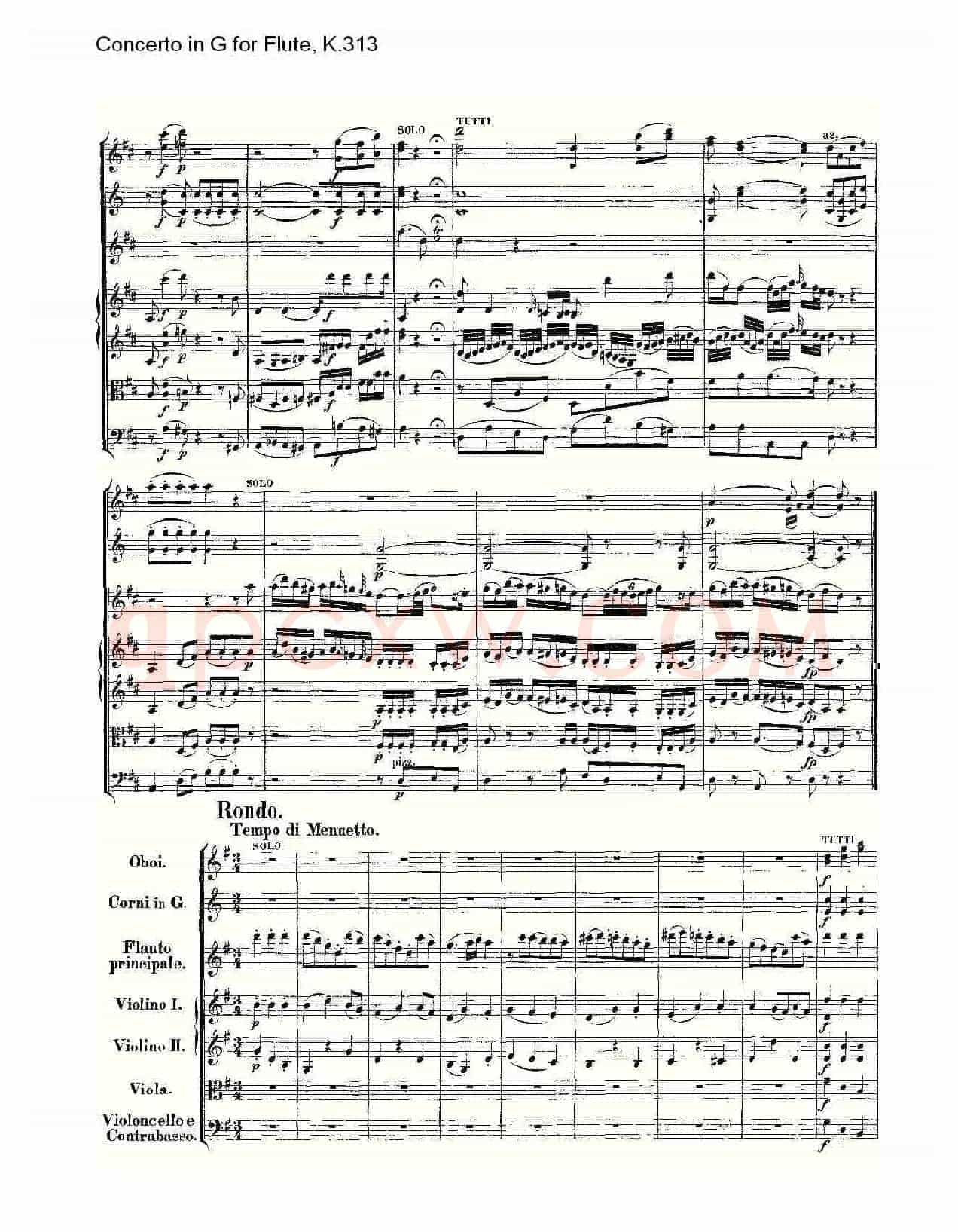 Concerto in G for Flute, K.313（G调长笛协奏曲, K.313）