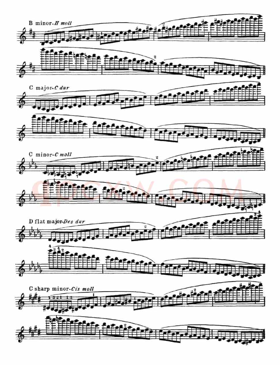 小提琴音阶练习·作品32（Scale Studie-E）
