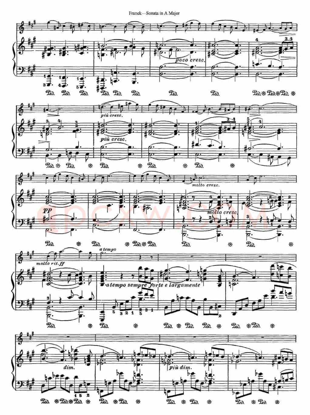 Franck Sonata in A Major（小提琴+钢琴伴奏）