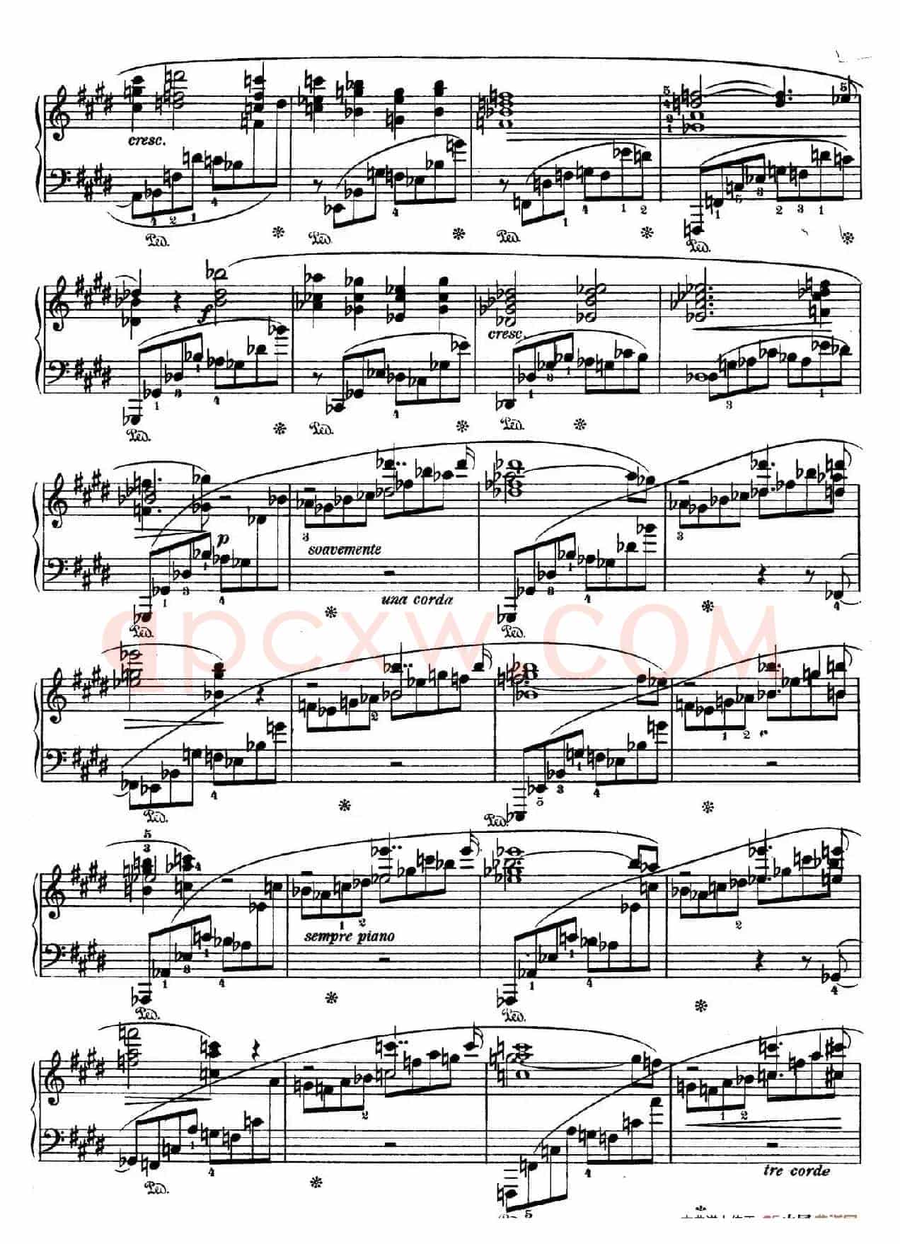 Prelude in c-Sharp Minor Op.45(升c小调前奏曲 )