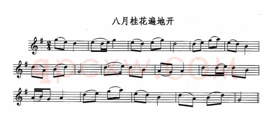 八月桂花遍地开