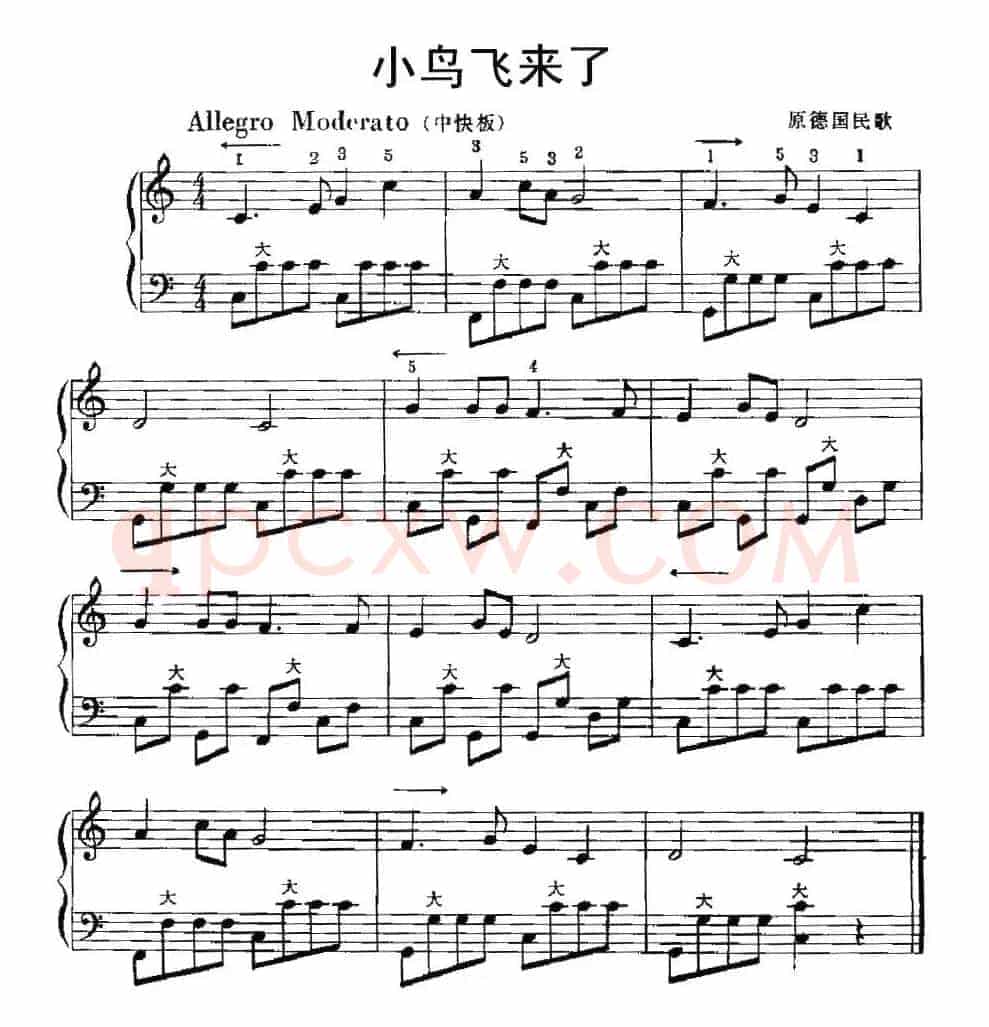 小鸟飞来了