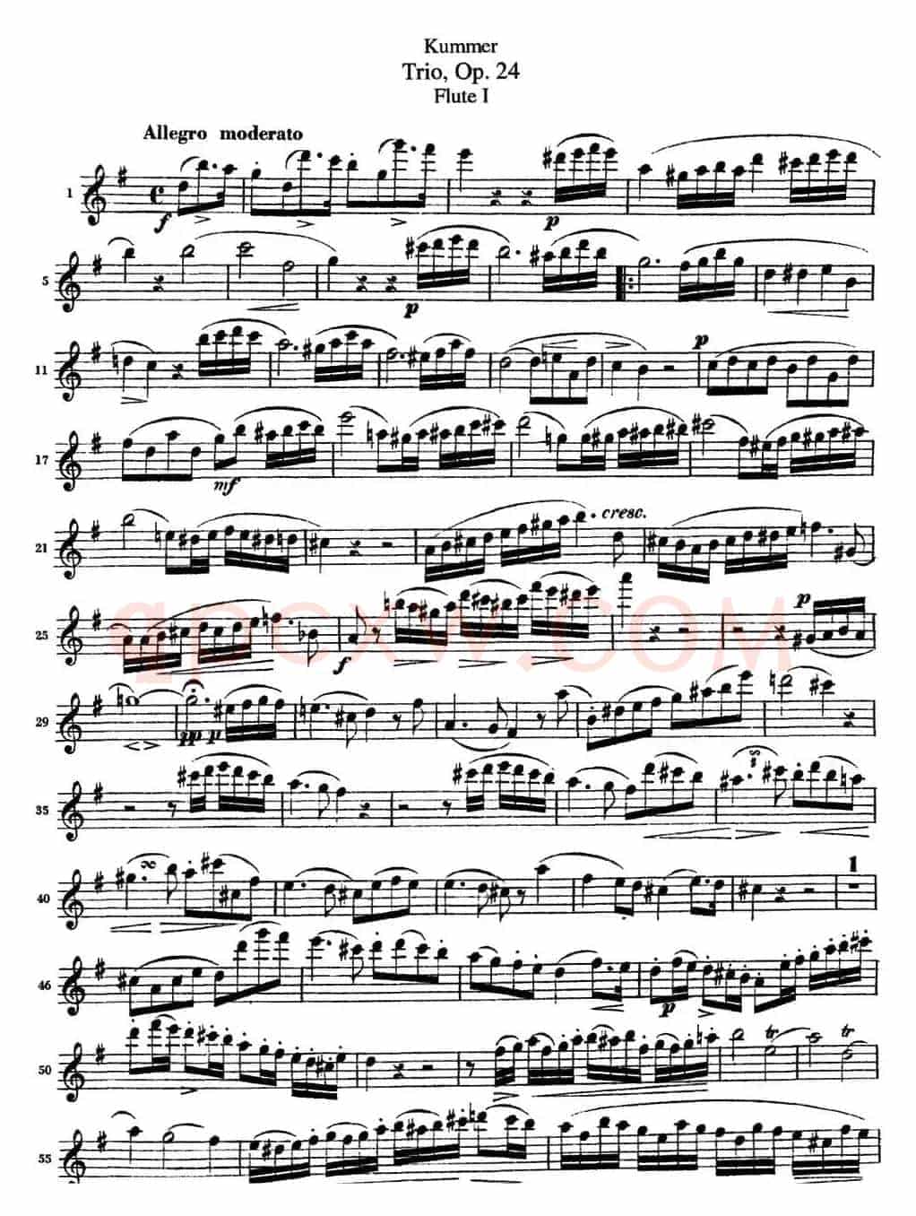 库默长笛三重奏Op.24（Flute 1）
