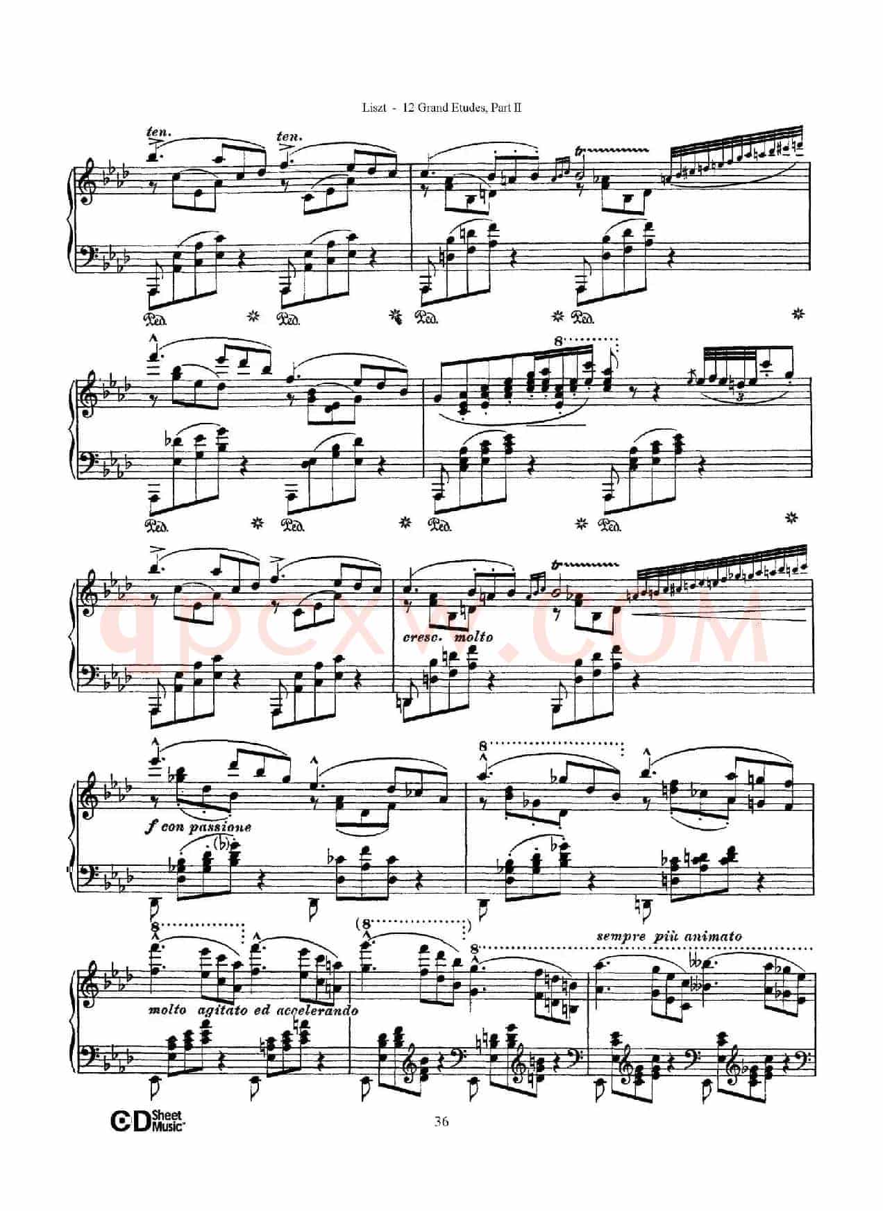 12 Grand Etudes S.137（12首华丽的练习曲·9）