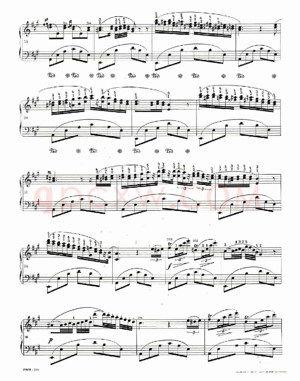 Souvenir de Paganini (纪念帕格尼尼)