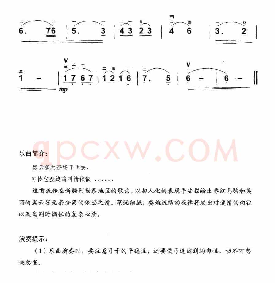 黑云雀