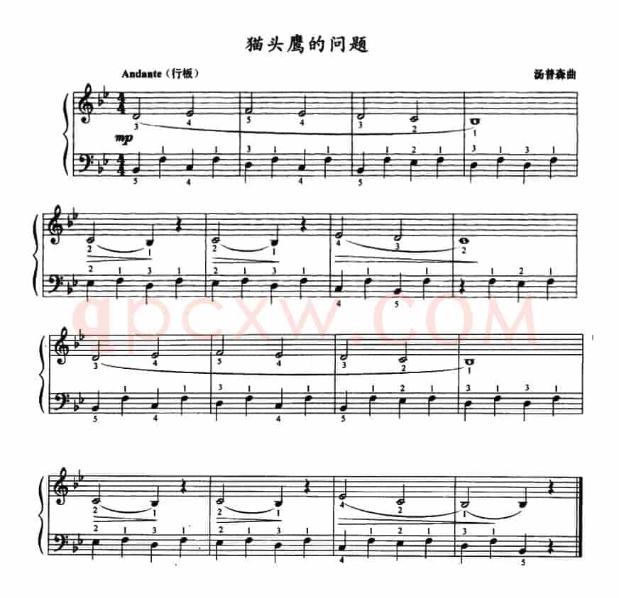 猫头鹰的问题