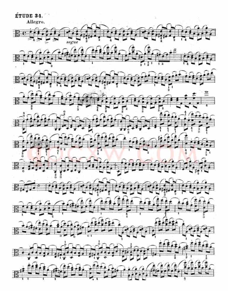 克莱采尔《中提琴练习曲40首》（ETUDE 33-35）