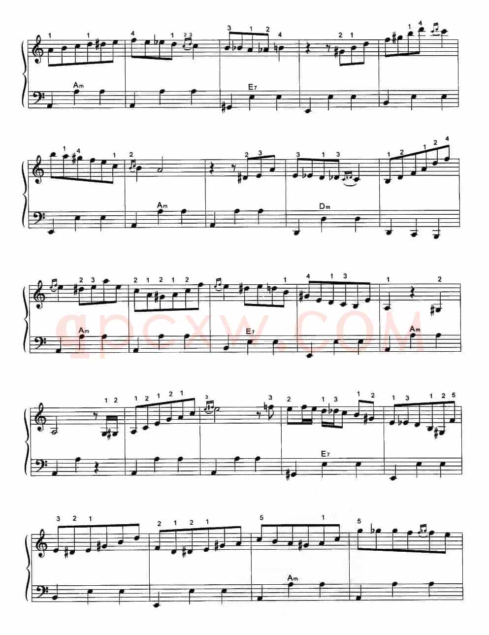 手风琴圆舞曲