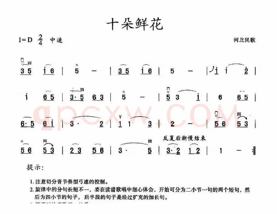 十朵鲜花
