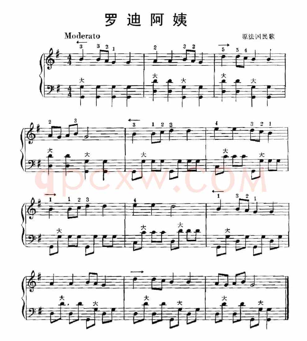 罗迪阿姨