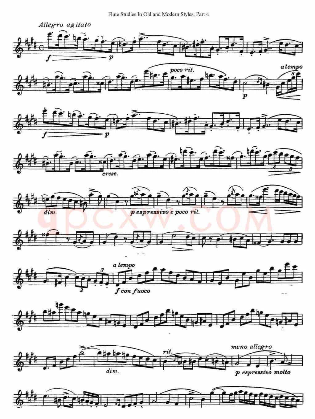 斯勒新老风格长笛练习重奏曲（第四部分）（NO.8）