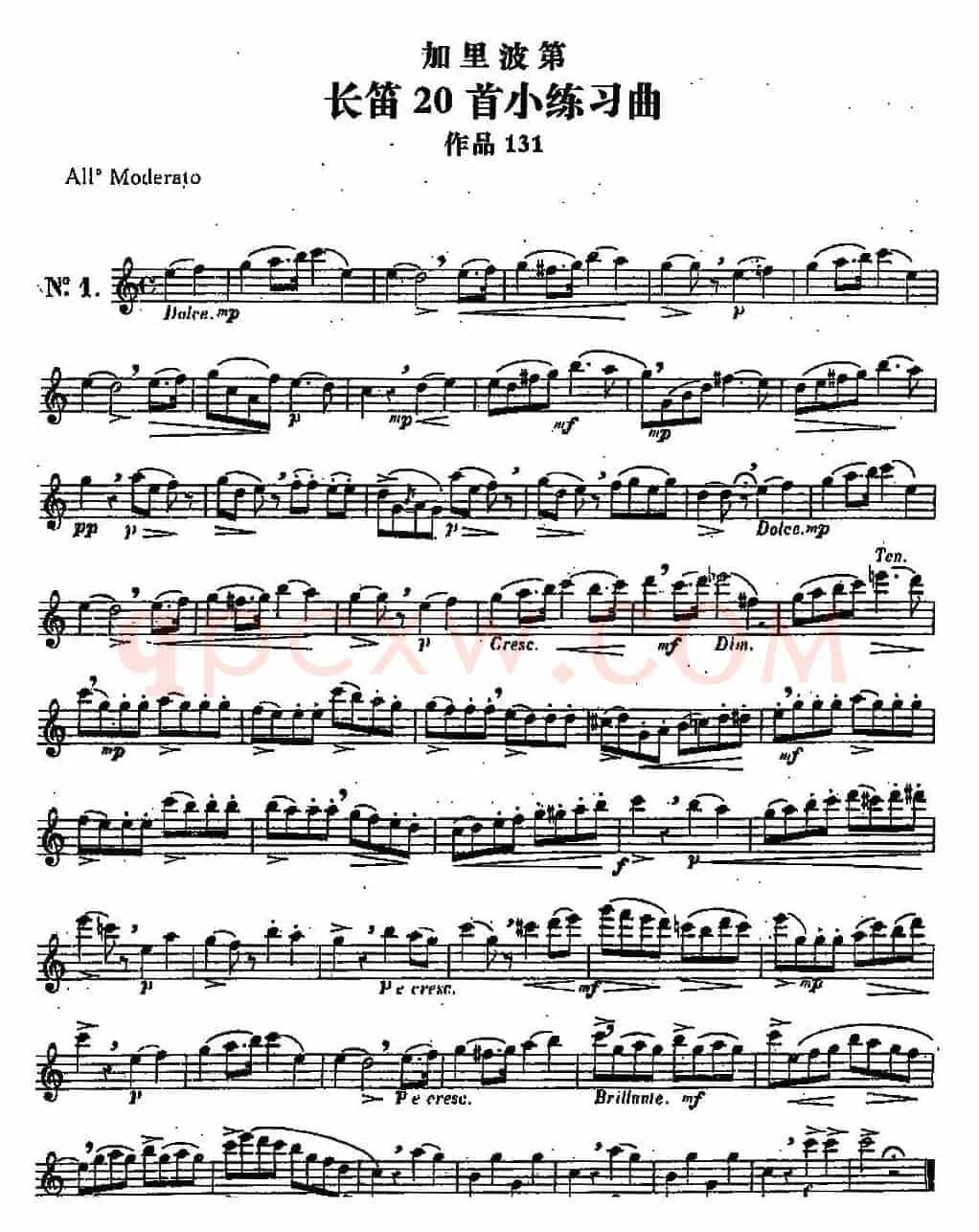 二十首练习曲作品131号（NO.1）