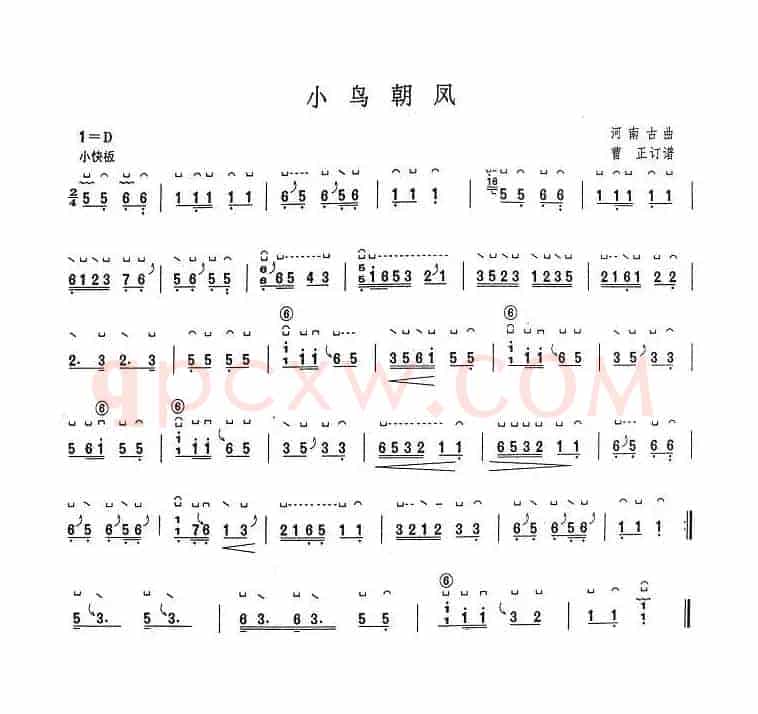 小鸟朝凤