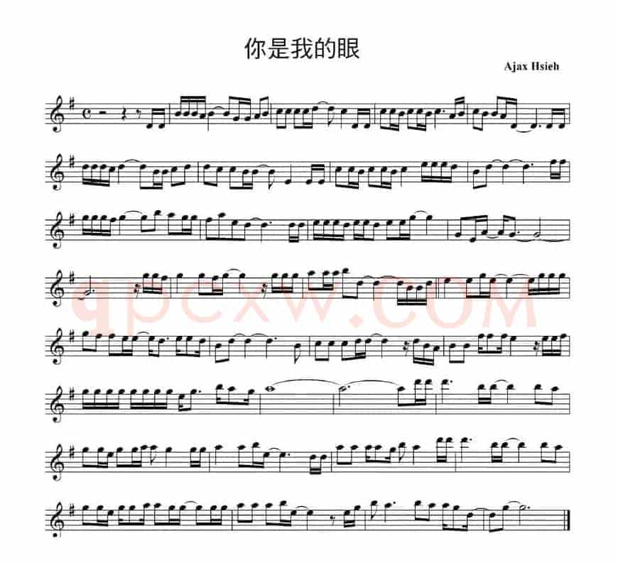 你是我的眼
