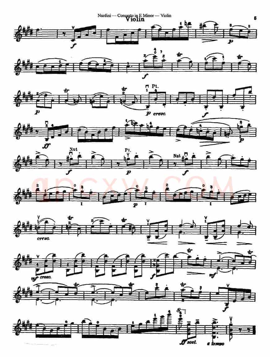 Concerto in E Minor（纳尔蒂尼作曲版）