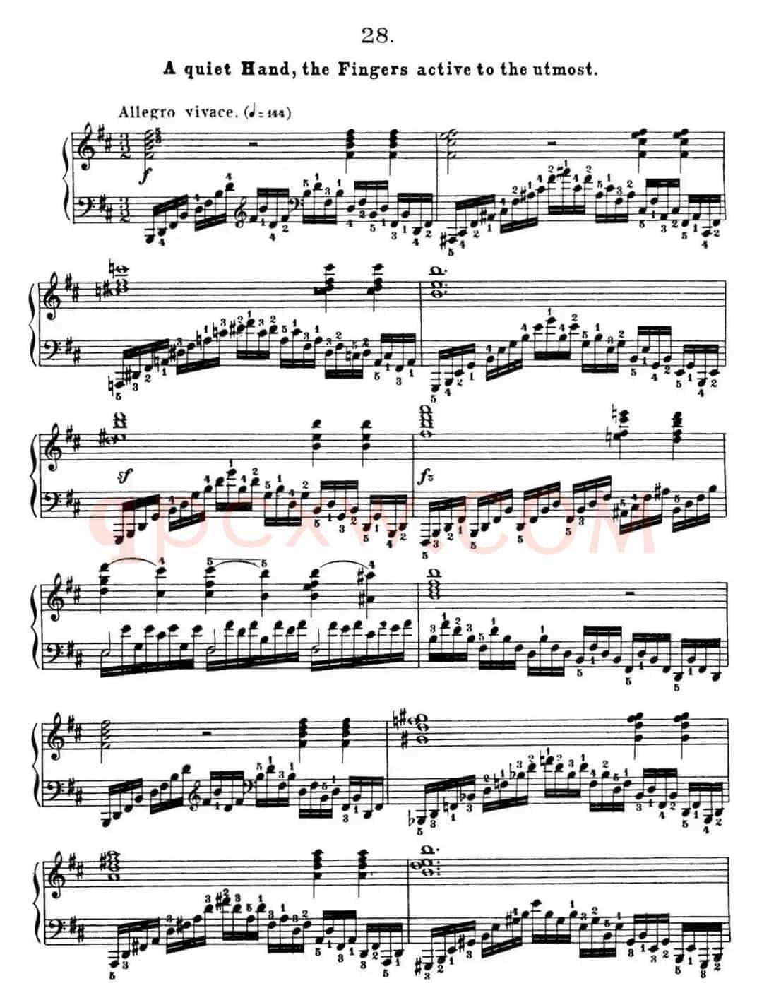 50首车尔尼Op.740钢琴手指灵巧技术练习曲（NO.28）