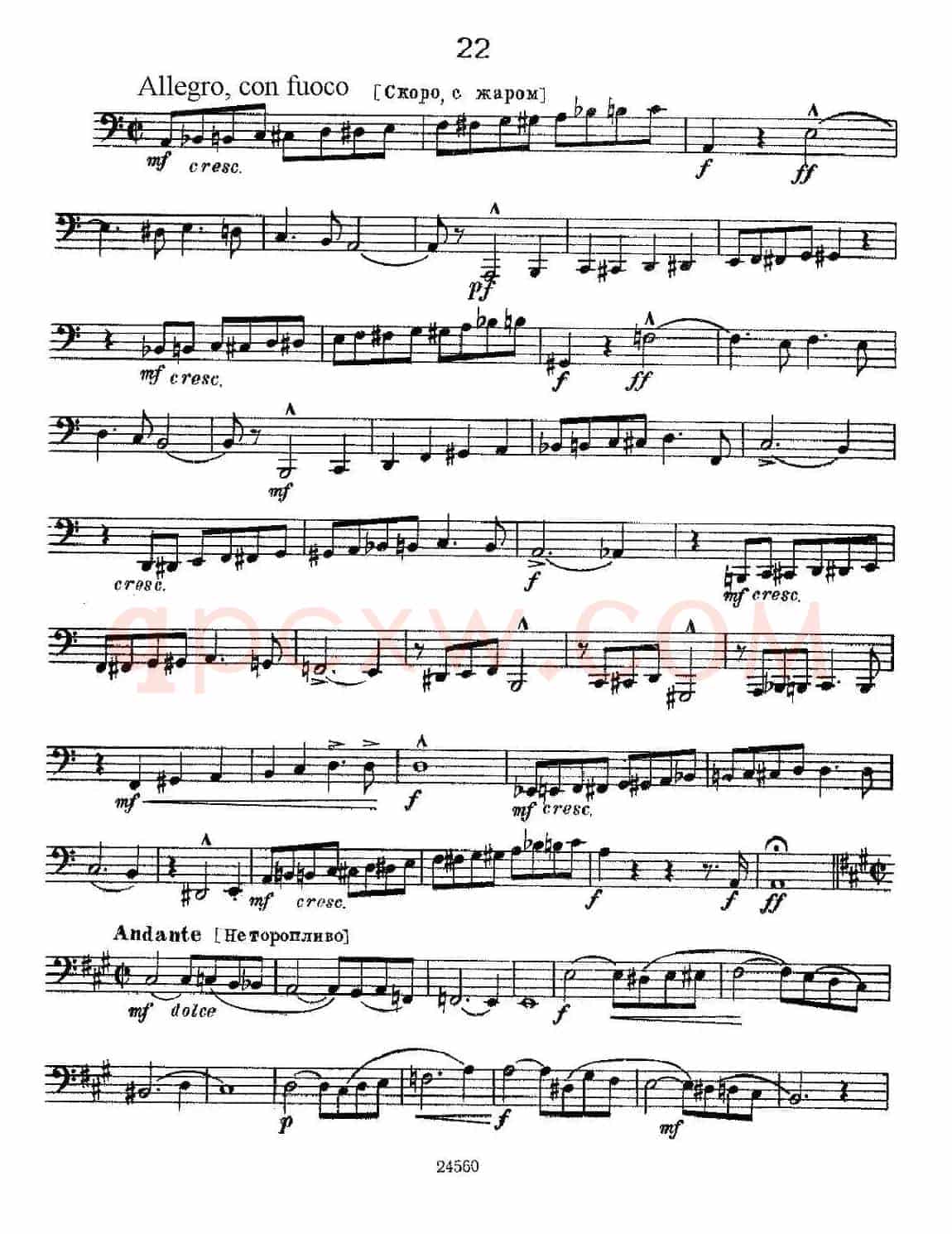 瓦西里耶夫24首大号练习曲集（19—24）