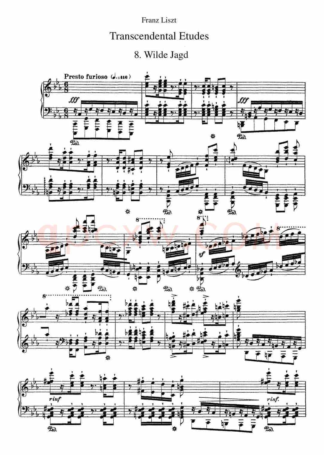 12首超级技巧练习曲：Wilde Jagd（狩猎）