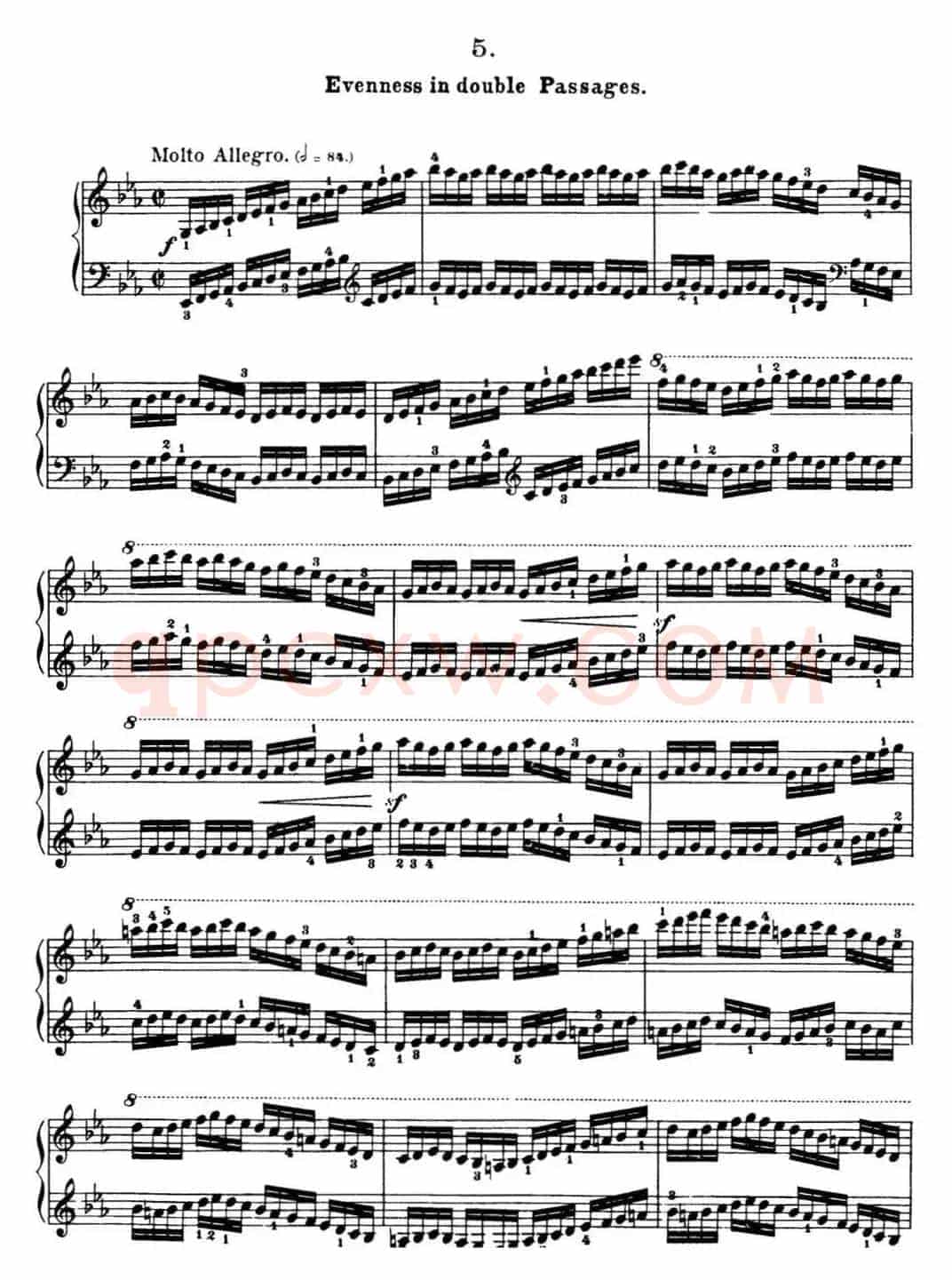 50首车尔尼Op.740钢琴手指灵巧技术练习曲（NO.5）
