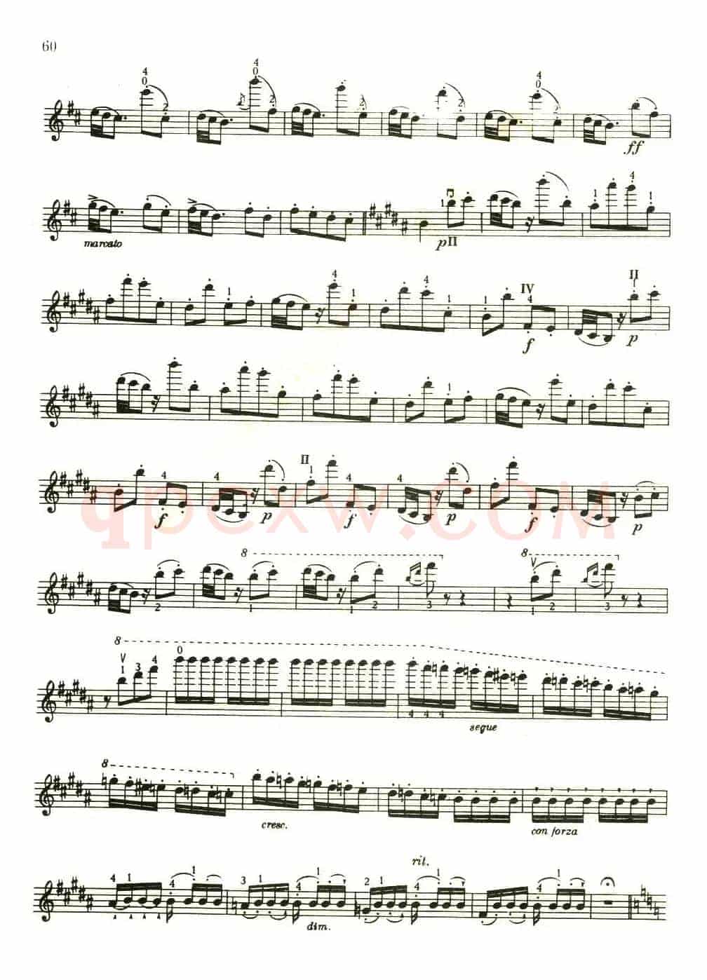 小精灵回旋曲（Op.25）