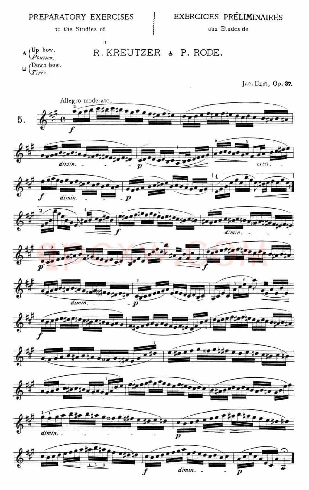 顿特24首小提琴练习曲 作品37—5