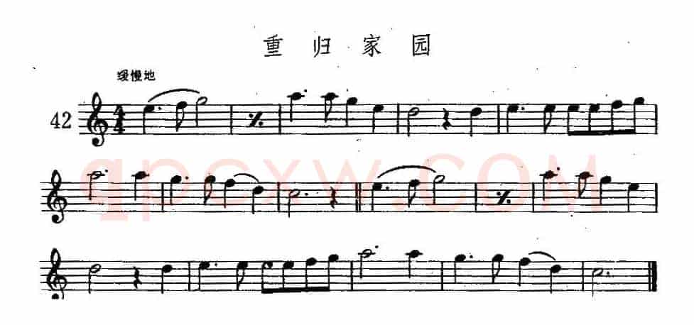 重归家园