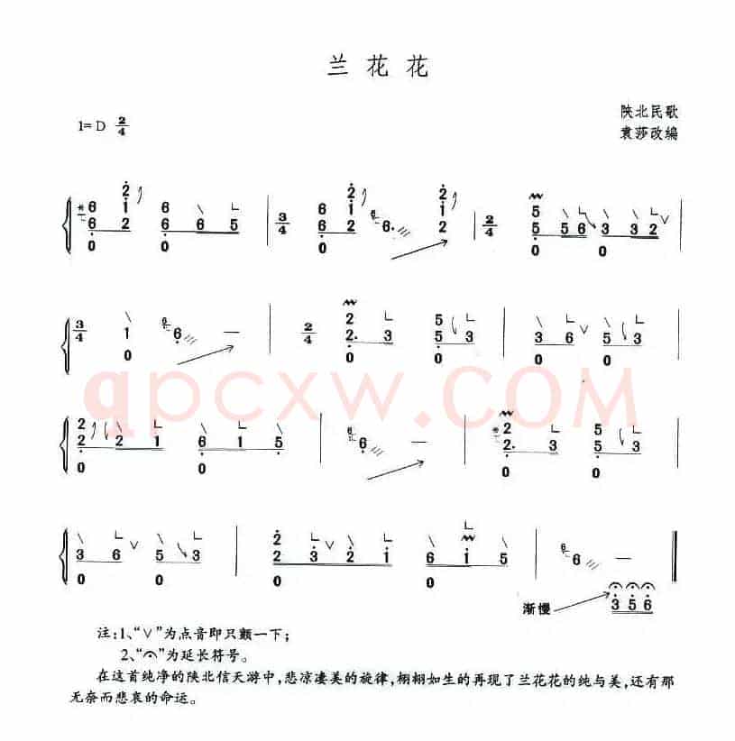 兰花花
