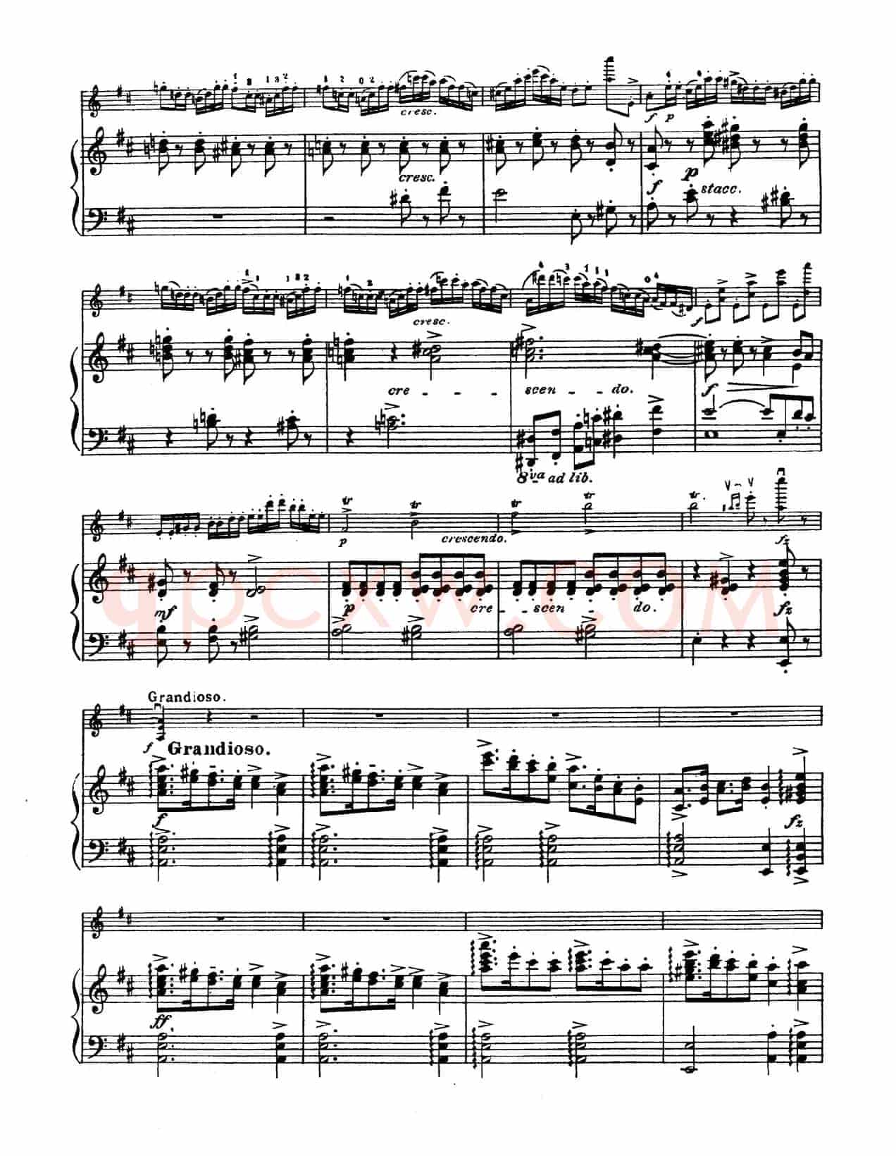 D大调学生协奏曲（塞茨作品第15号）