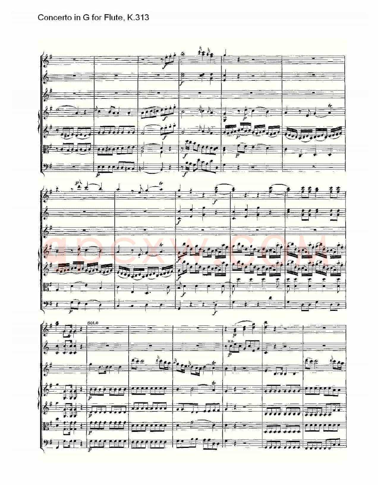 Concerto in G for Flute, K.313（G调长笛协奏曲, K.313）