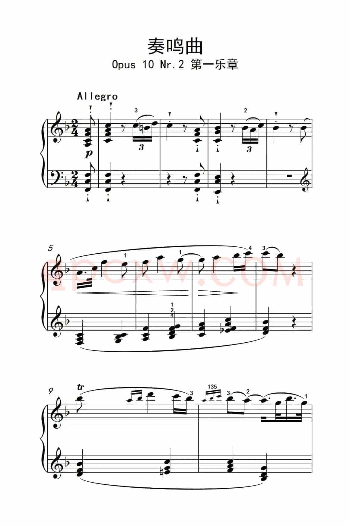 奏鸣曲 Opus 10 Nr.2 第一乐章（贝多芬奏鸣曲集 2）