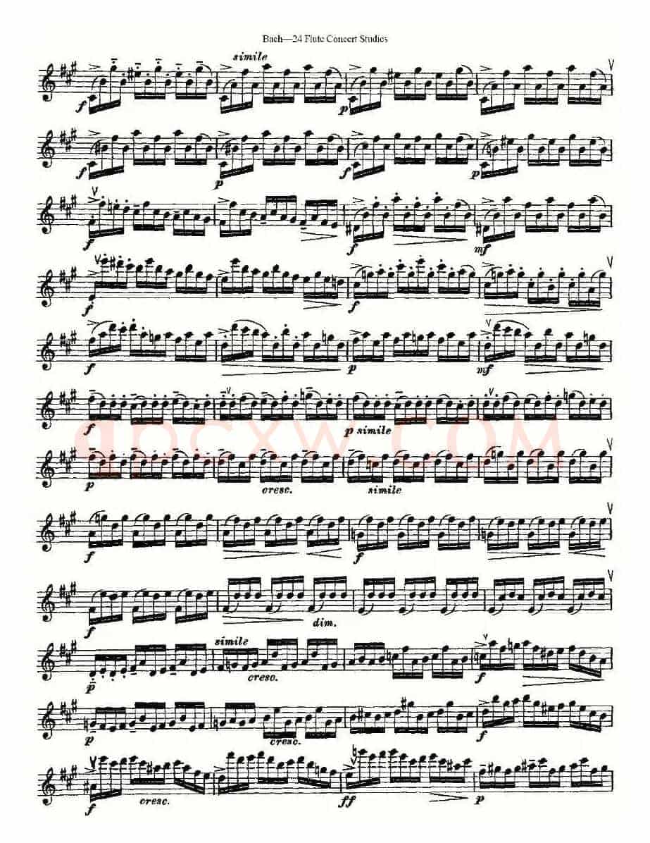 Bach-24 Flutc Concert Studies 之11—15（巴赫—24首长笛音乐会练习曲）