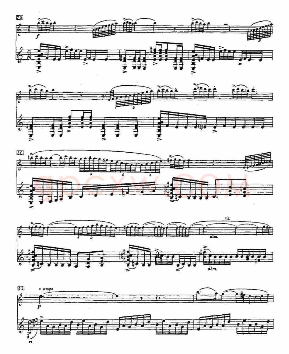 Cantos sierras（山脉之歌）（长笛+吉他）