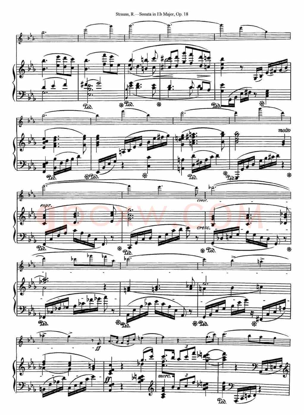 Violin Sonata in Eb Major Op.18（小提琴+钢琴伴奏）
