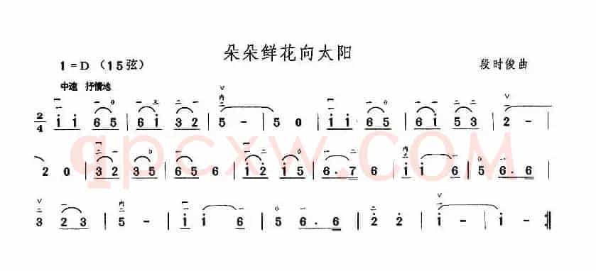 朵朵鲜花向太阳