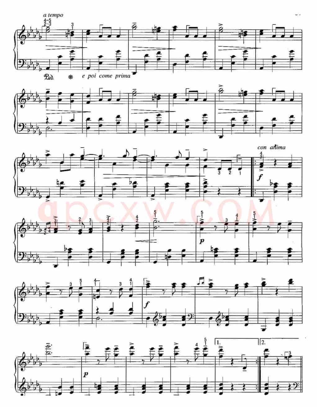 不可不弹的世界钢琴名曲：辉煌的大圆舞曲