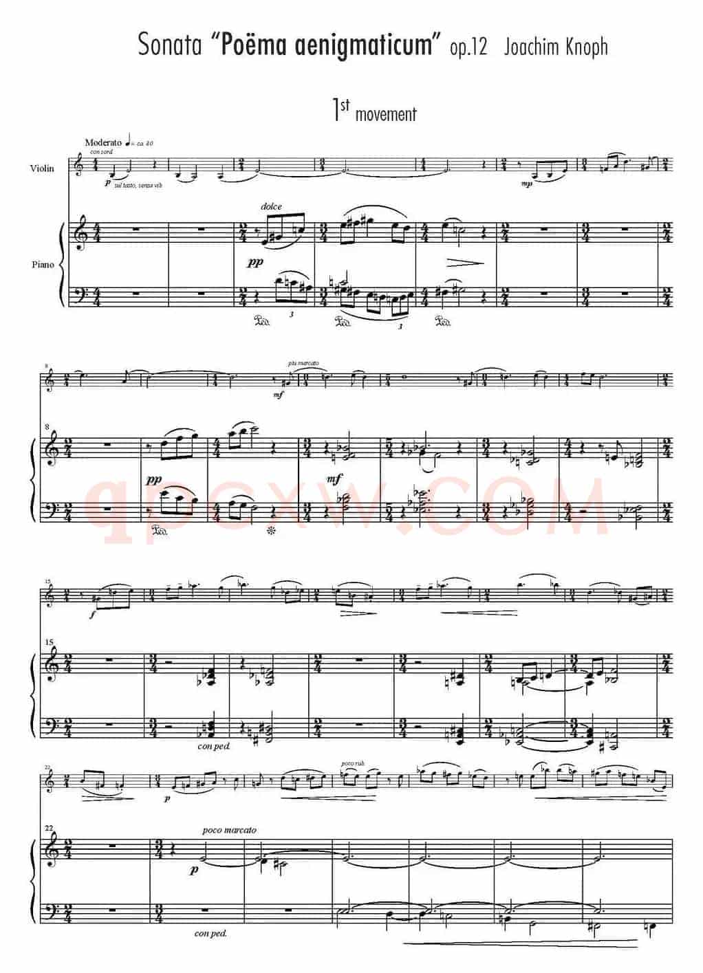 Sonata Poema aenigmaticum（小提琴+钢琴伴奏、1st movement）