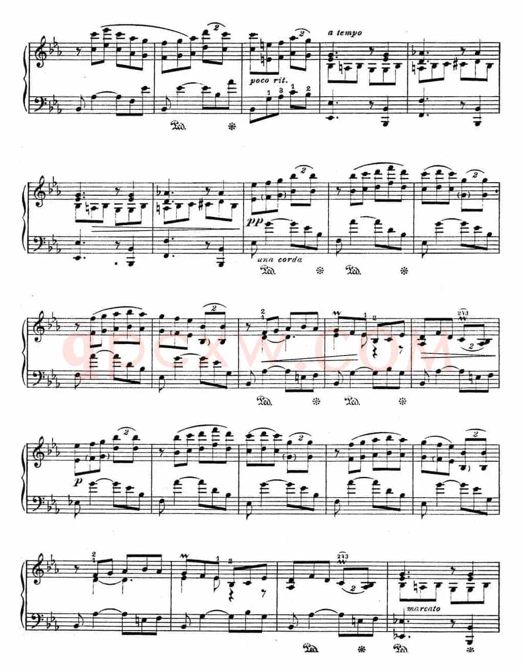 Suite Espanola Op.47（西班牙组曲·Ⅷ）