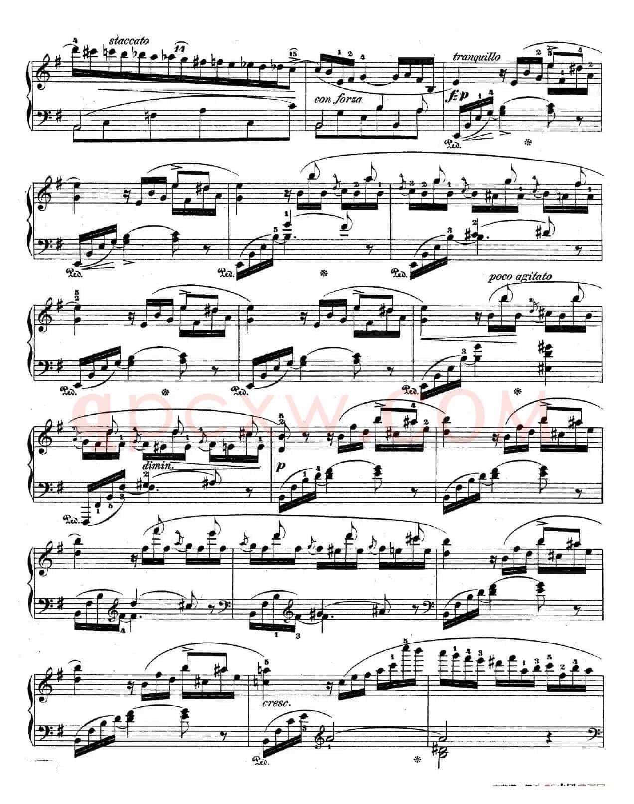 e小调第一钢琴协奏曲 Op.11(钢琴独奏版·第一乐章)