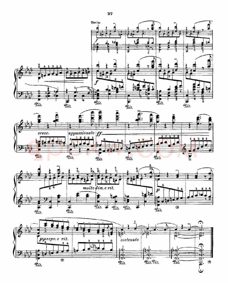 肖邦《练习曲》Fr.Chopin Op.25 No2-2