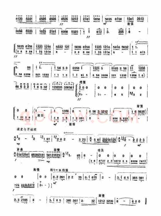 玉树草原之春