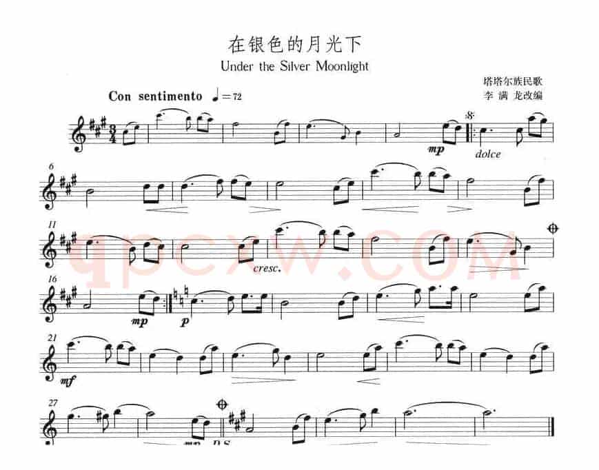 在银色的月光下