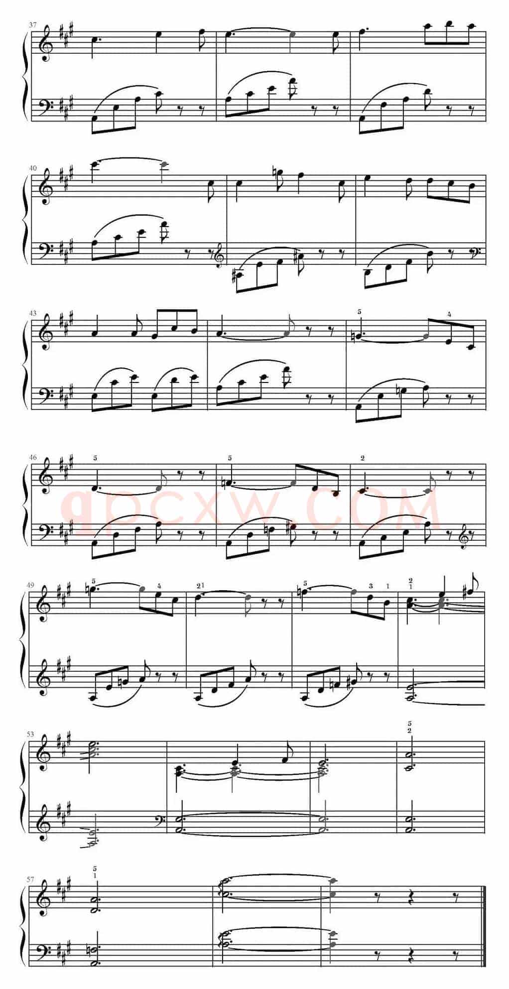 第五号夜曲 