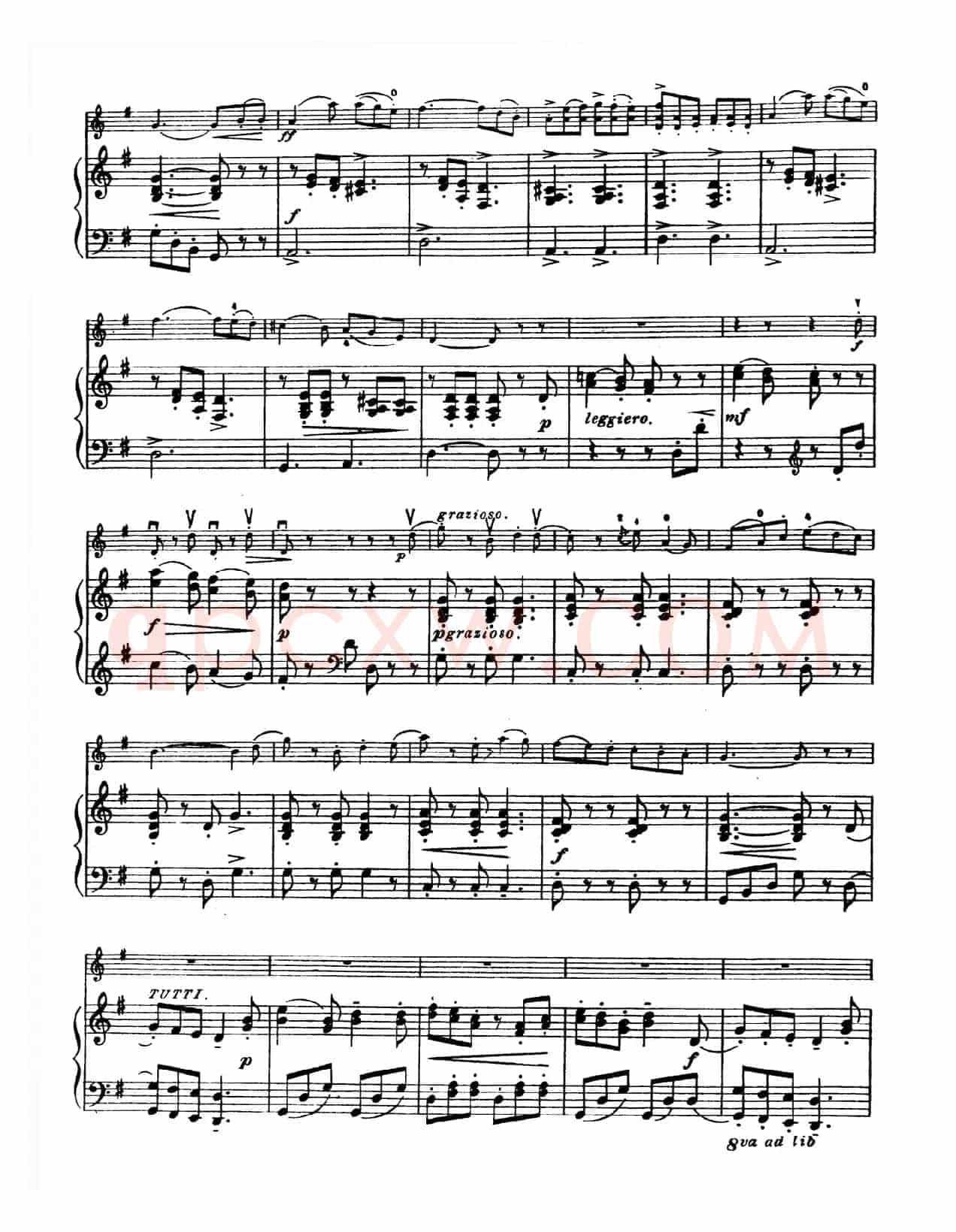 G大调学生协奏曲（塞茨作品第13号）