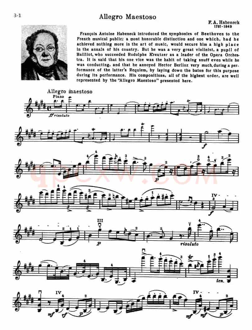 ALLEGRO MAESTOSO（庄严的快板）