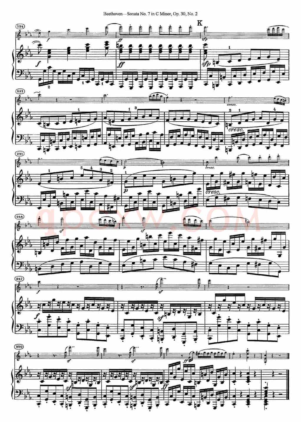 Violin Sonata No.7 in C Minor Op.30 No.2（小提琴+钢琴伴奏）