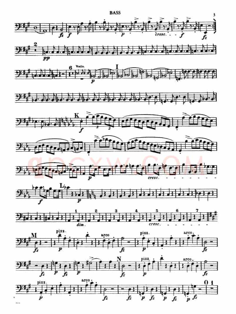 TROUT QUINTET（鳟鱼五重奏）（BASS分谱）