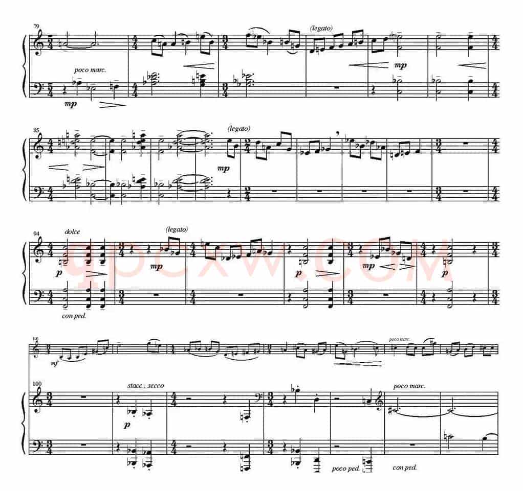 Sonata Poema aenigmaticum（小提琴+钢琴伴奏、1st movement）