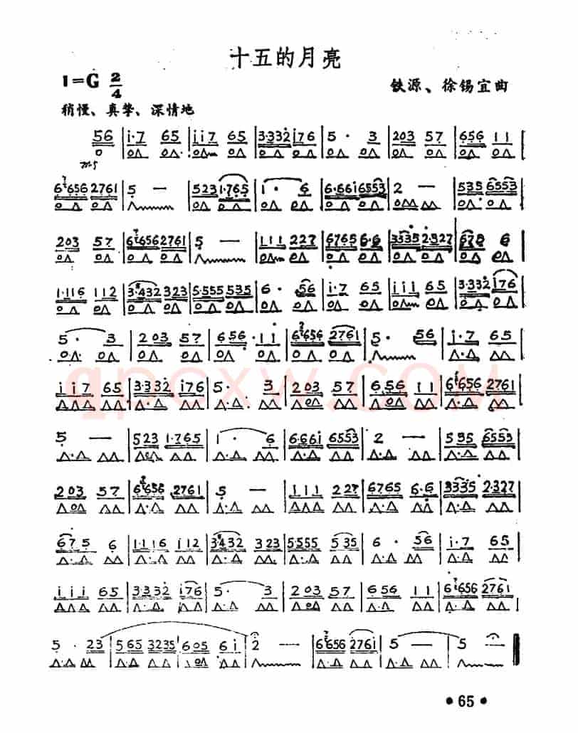 十五的月亮