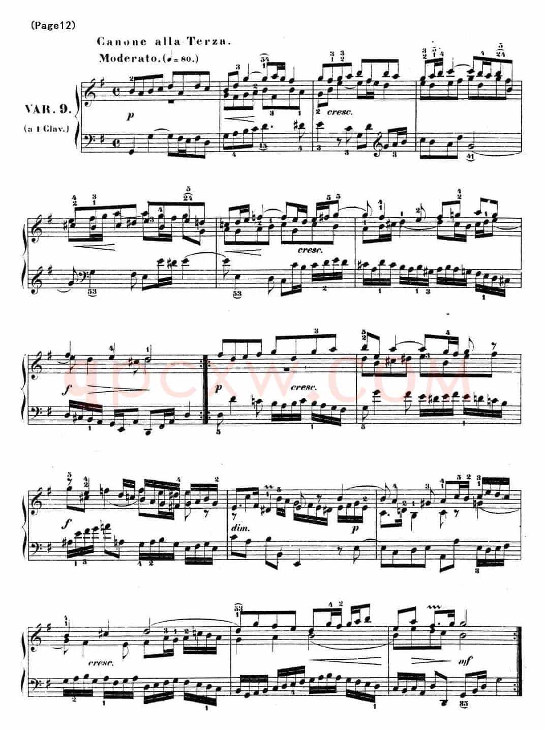 哥德堡变奏曲 巴赫 Goldberg Variationen BWV988